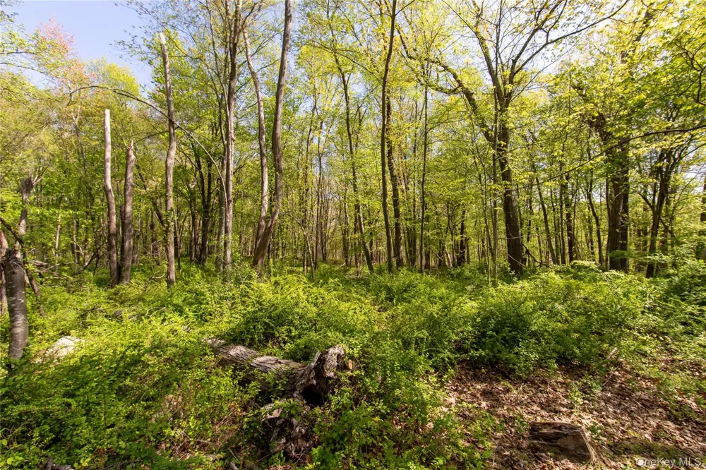 298 Nash Road North Salem, NY 10560