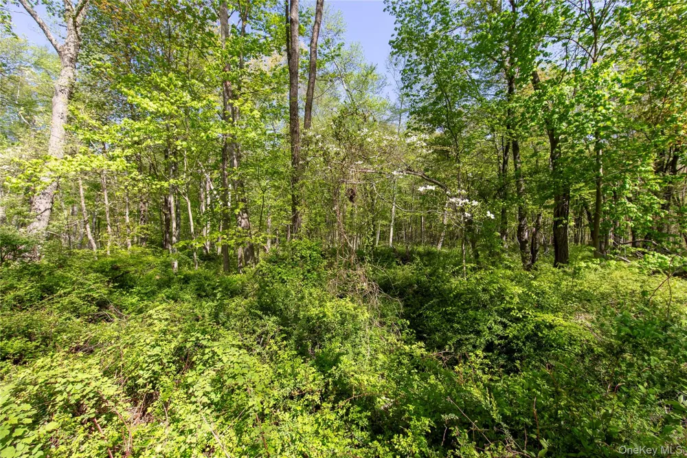 298 Nash Road North Salem, NY 10560
