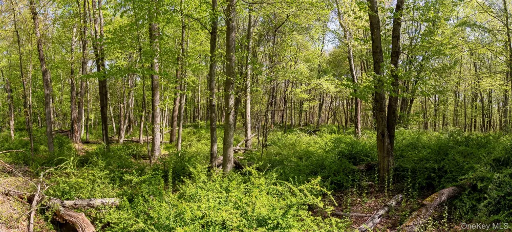 298 Nash Road North Salem, NY 10560