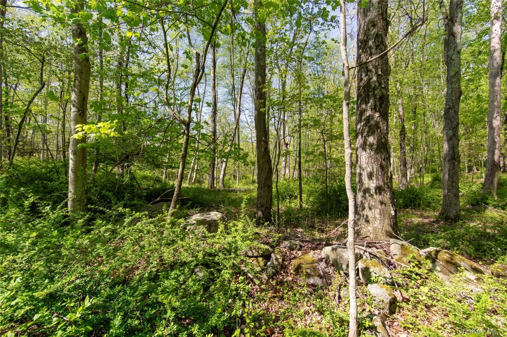 298 Nash Road North Salem, NY 10560
