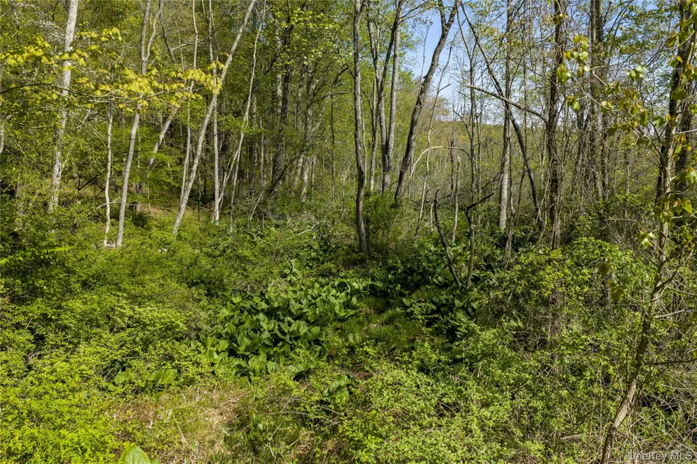 298 Nash Road North Salem, NY 10560