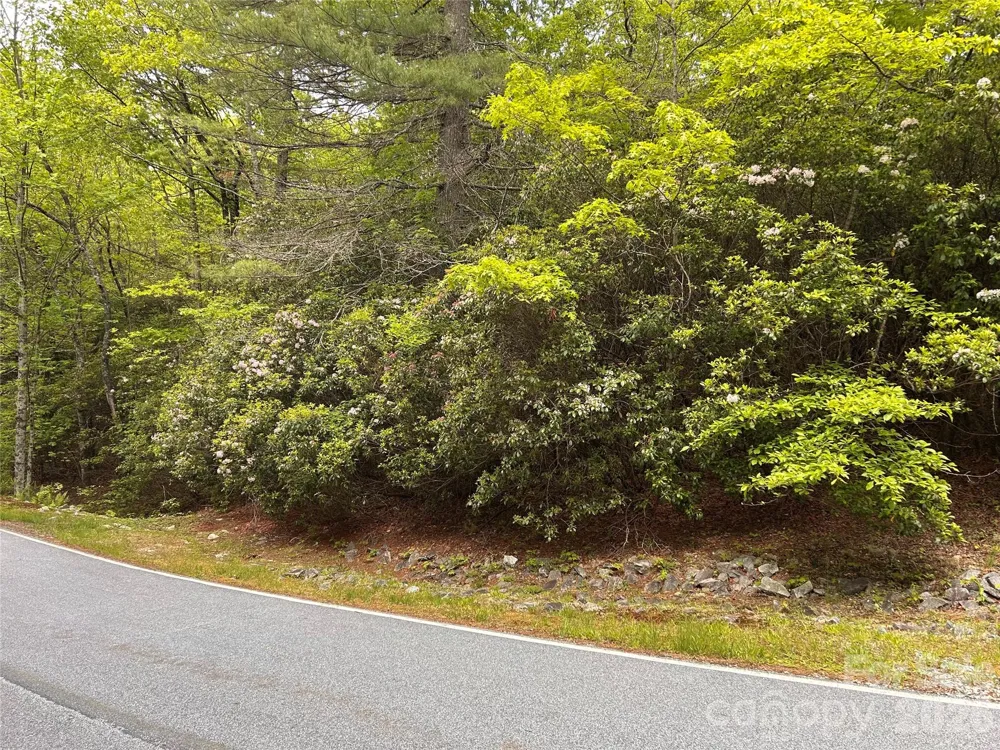 1054 Hawk Mountain Road Lake Toxaway, NC 28747