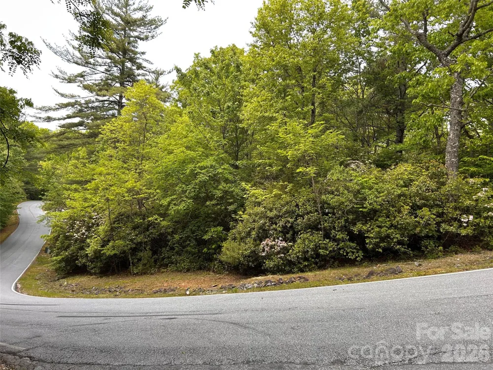 1054 Hawk Mountain Road Lake Toxaway, NC 28747