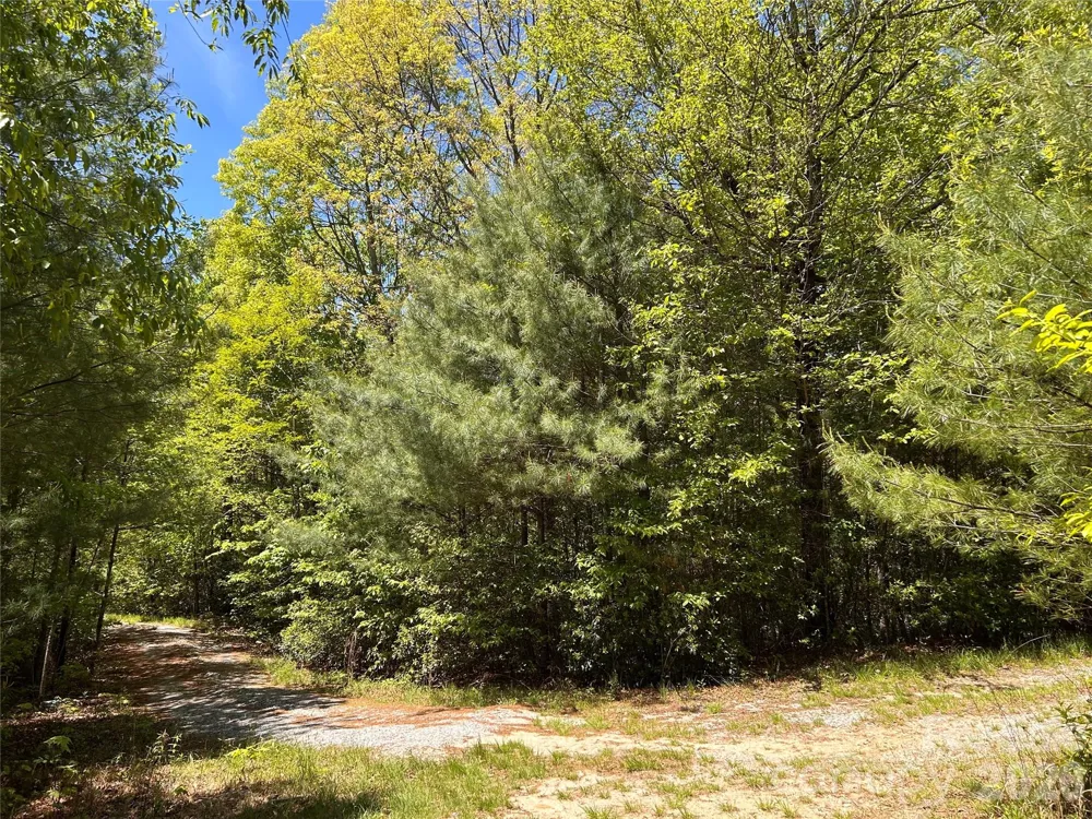 1054 Hawk Mountain Road Lake Toxaway, NC 28747