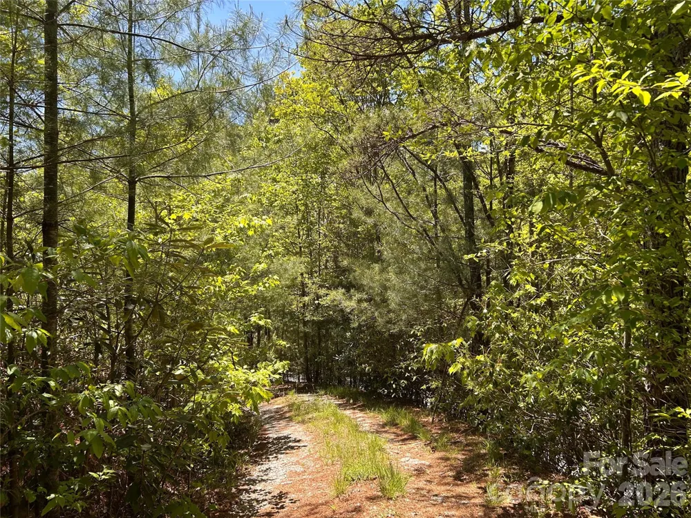 1054 Hawk Mountain Road Lake Toxaway, NC 28747