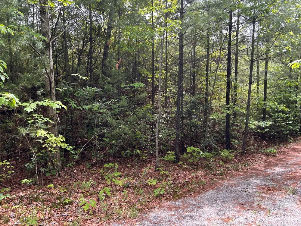 1054 Hawk Mountain Road Lake Toxaway, NC 28747