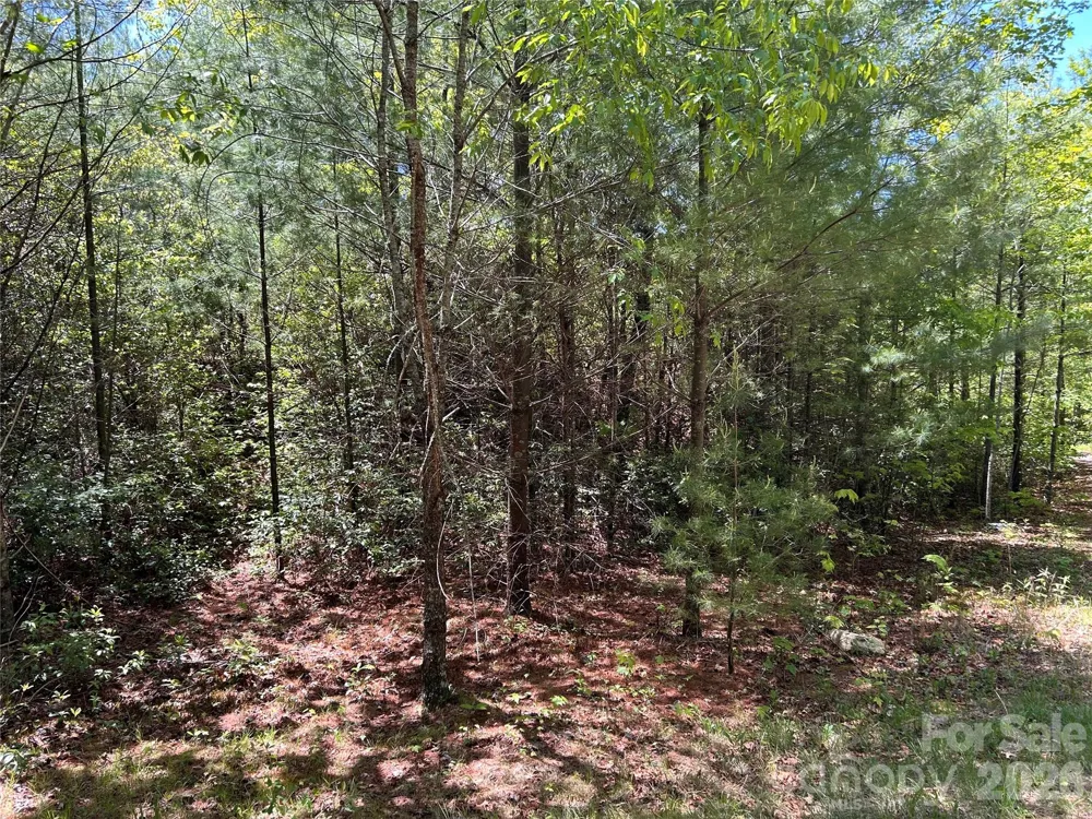 1054 Hawk Mountain Road Lake Toxaway, NC 28747