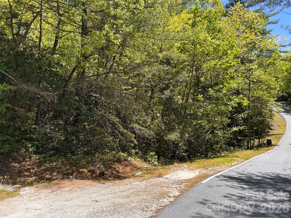 1054 Hawk Mountain Road Lake Toxaway, NC 28747