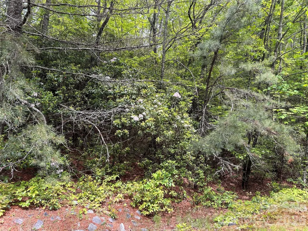 1054 Hawk Mountain Road Lake Toxaway, NC 28747