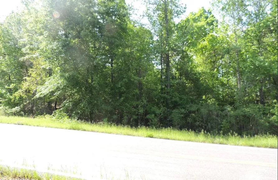 0 Causey Rd Knoxville, GA 31050