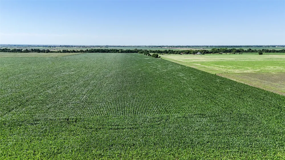 County Road 405 Taylor, TX 76574