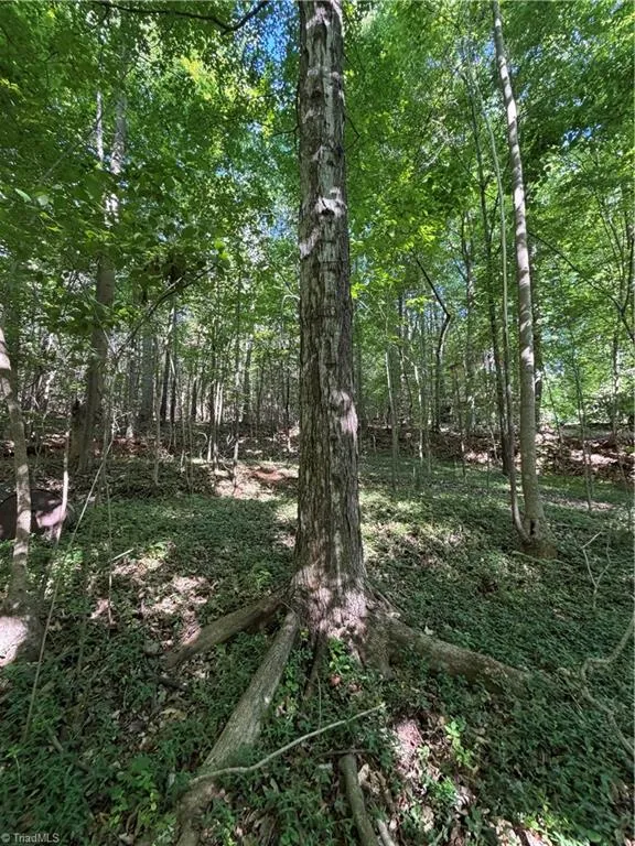 0 Partridge Drive Lexington, NC 27292