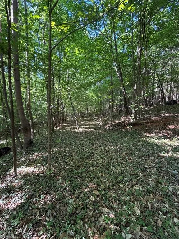 0 Partridge Drive Lexington, NC 27292