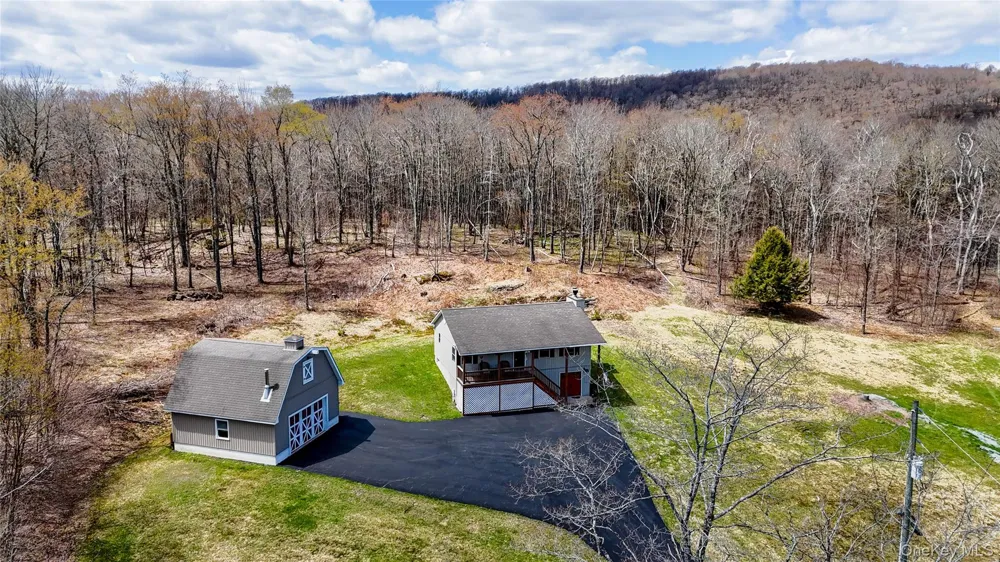 1029 Spring Brook Estates Road Roscoe, NY 12776