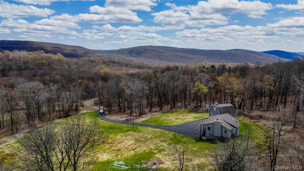 1029 Spring Brook Estates Road Roscoe, NY 12776