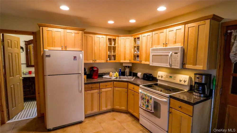 1029 Spring Brook Estates Road Roscoe, NY 12776