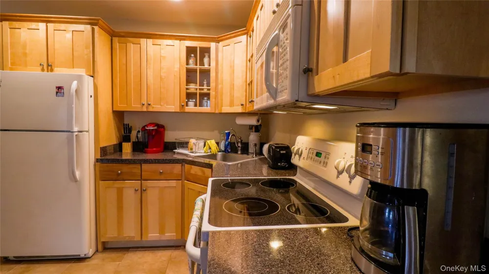 1029 Spring Brook Estates Road Roscoe, NY 12776