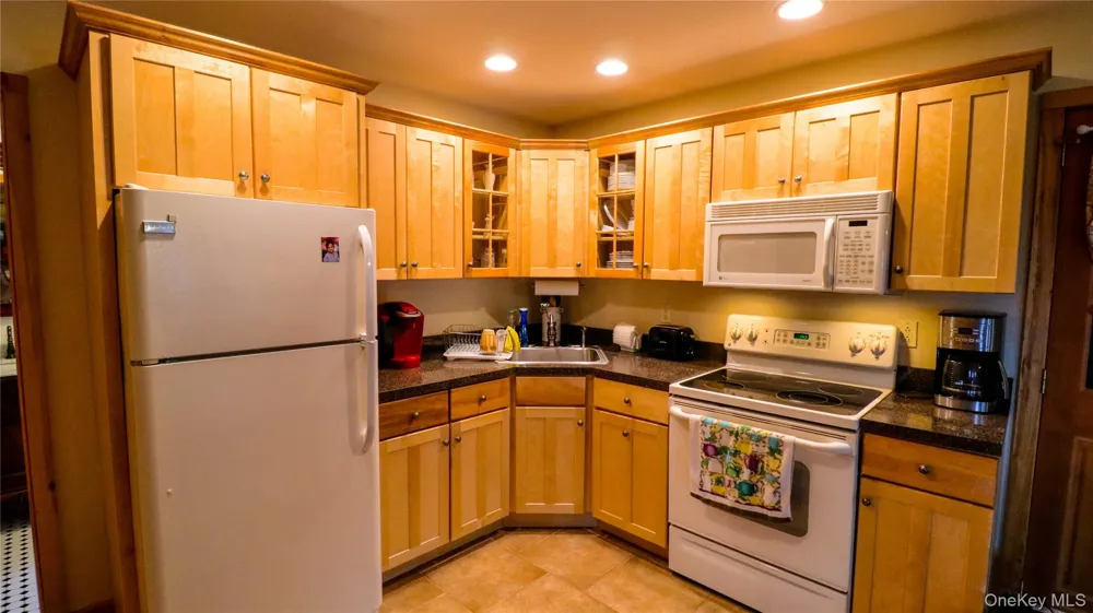 1029 Spring Brook Estates Road Roscoe, NY 12776