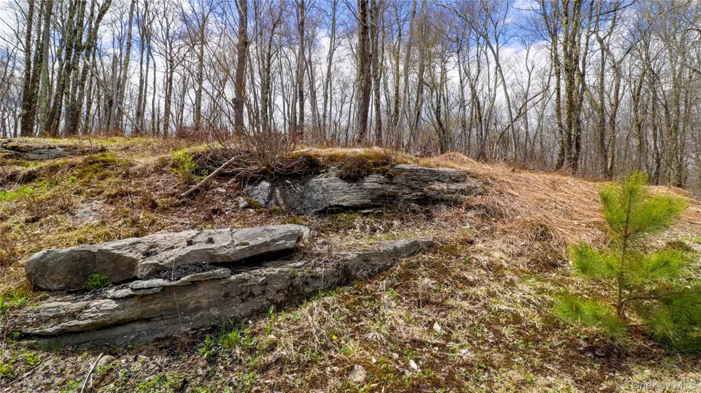 1029 Spring Brook Estates Road Roscoe, NY 12776