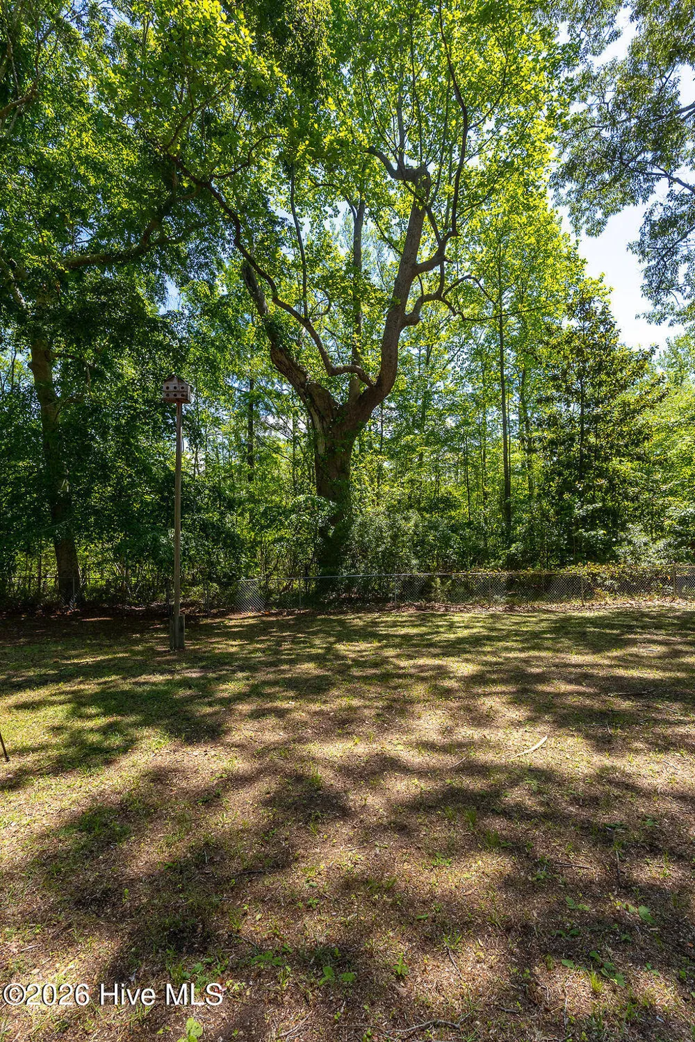 503 Castleton Drive Hertford, NC 27944