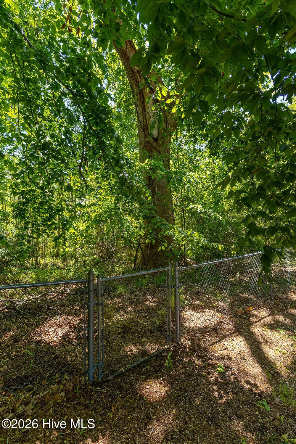 503 Castleton Drive Hertford, NC 27944