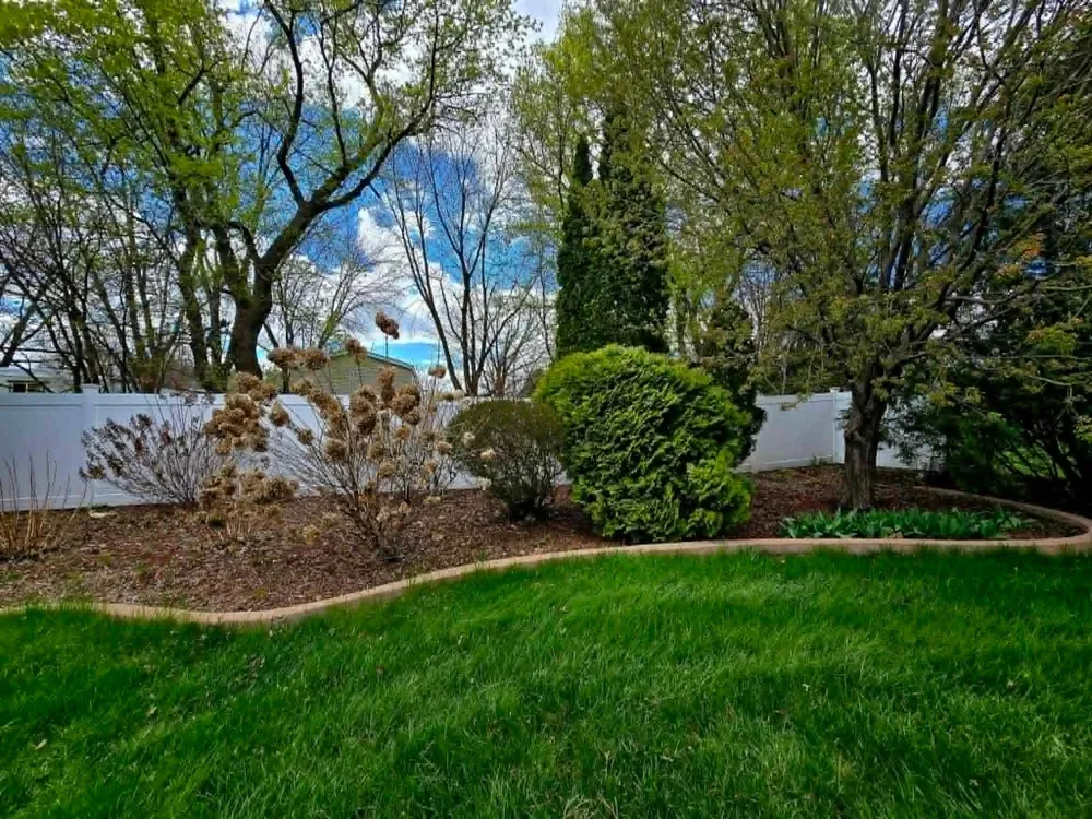 324 W 7th Street Litchfield, MN 55355