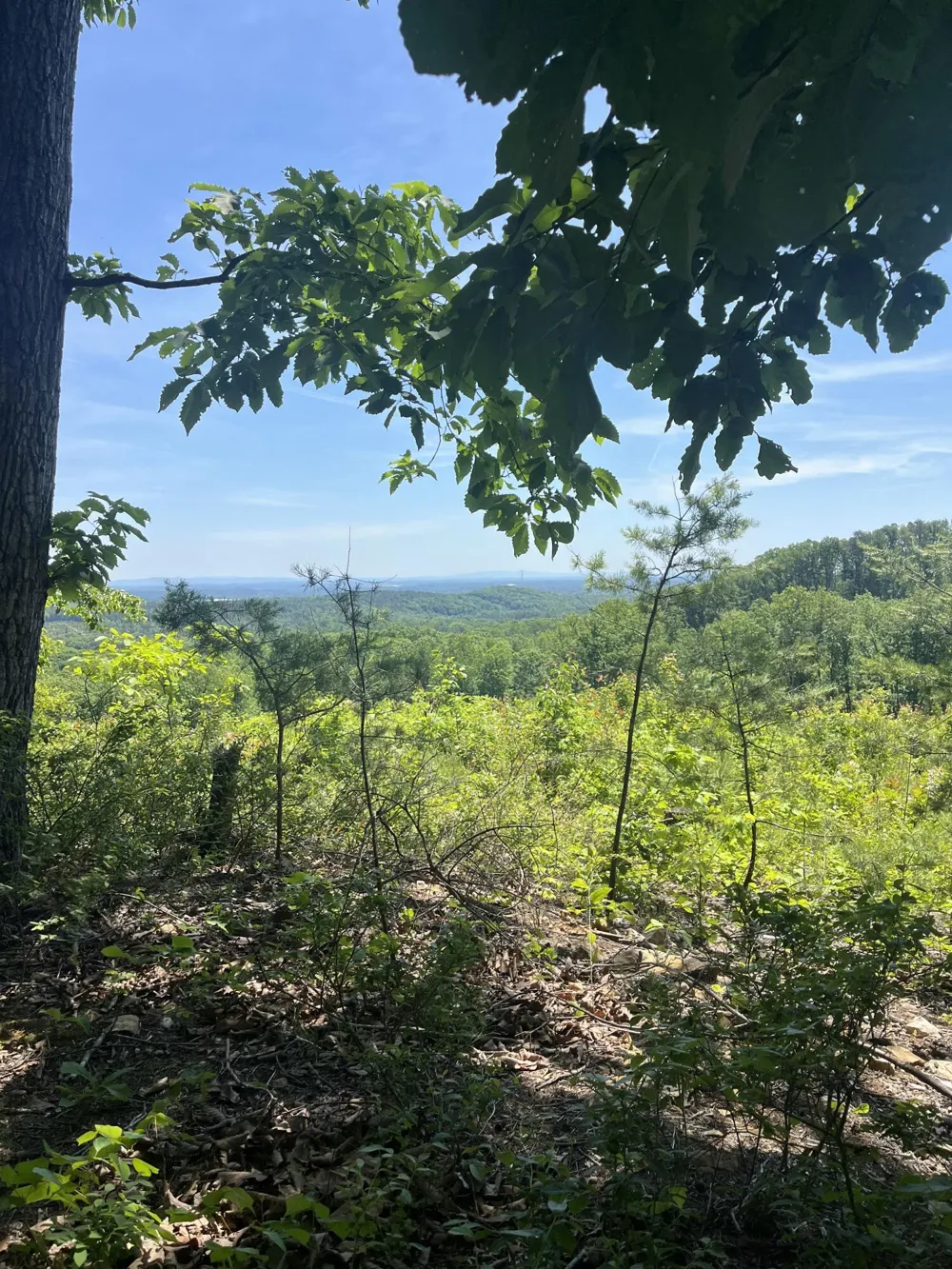 Dug Gap Road Dalton, GA 30720