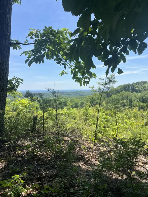 Dug Gap Road