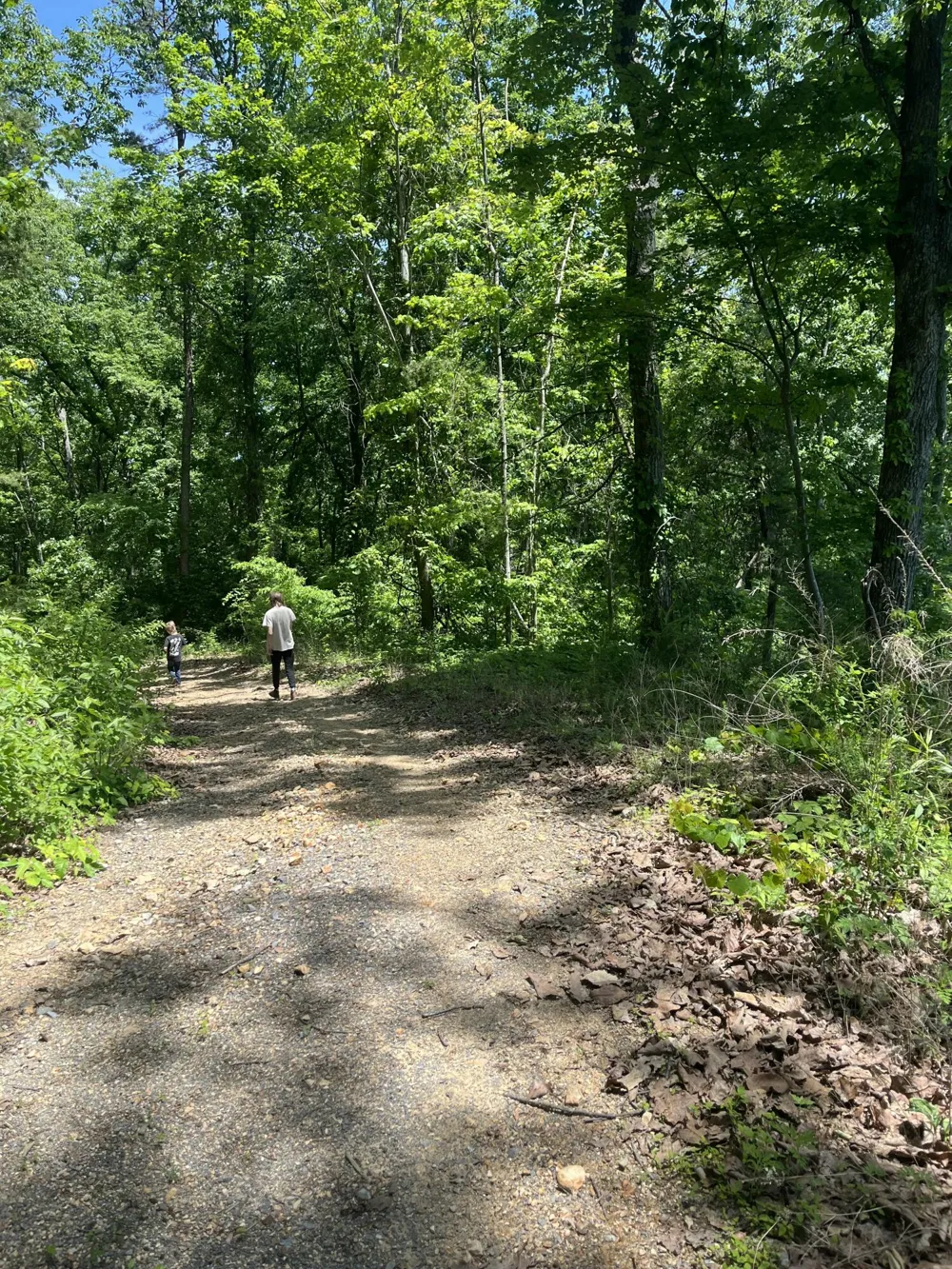 Dug Gap Road Dalton, GA 30720
