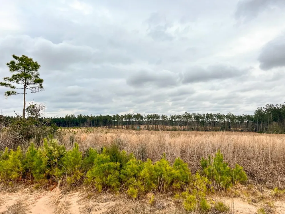 5 Hardin Hideout Road Moscow, TX 77352
