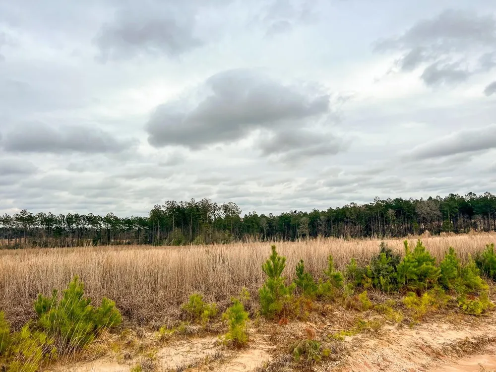 5 Hardin Hideout Road Moscow, TX 77352