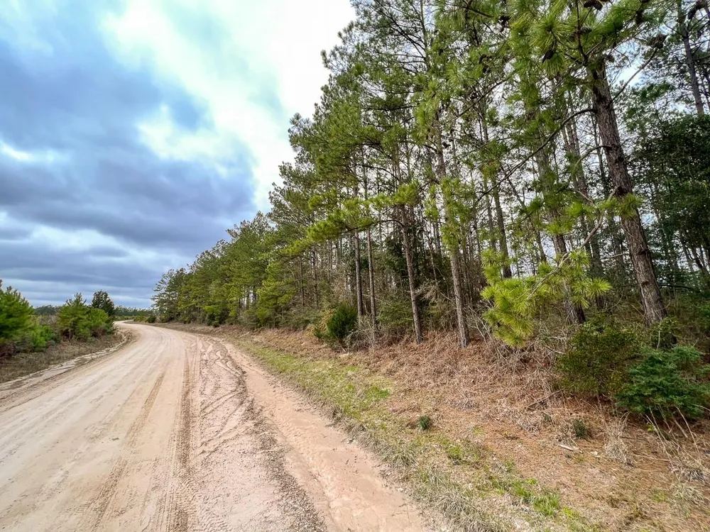 5 Hardin Hideout Road Moscow, TX 77352