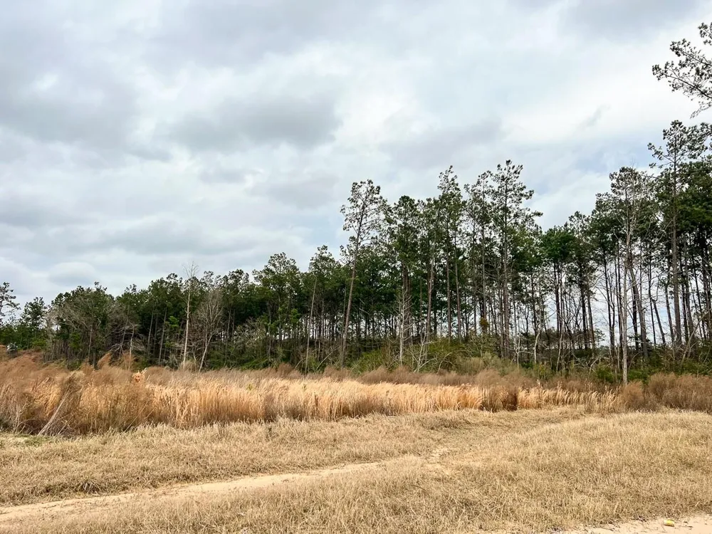5 Hardin Hideout Road Moscow, TX 77352