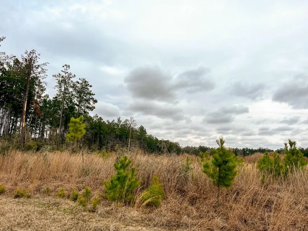 5 Hardin Hideout Road Moscow, TX 77352