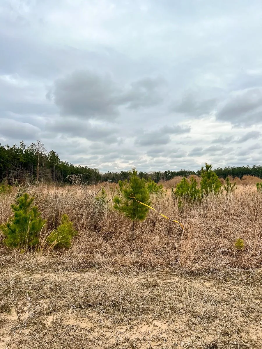 5 Hardin Hideout Road Moscow, TX 77352