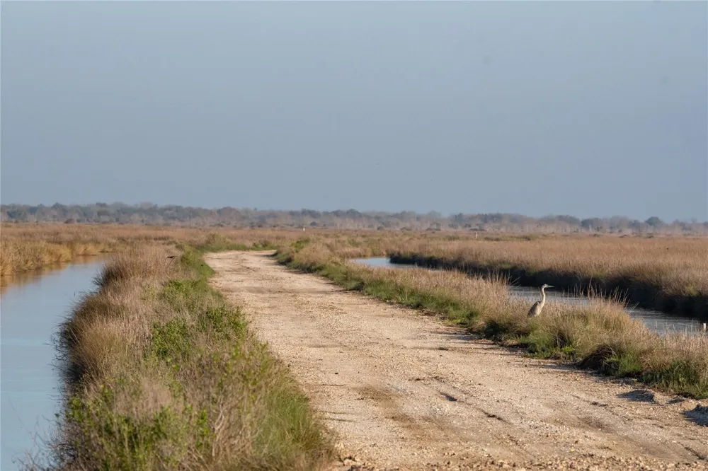 Highway 2004 Liverpool, TX 77511