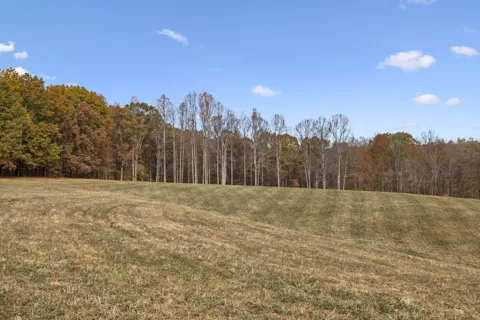 5515 Old Hwy 96