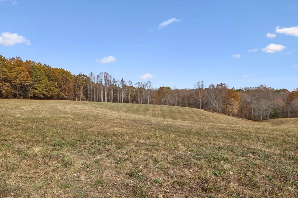 5515 Old Hwy 96 Franklin, TN 37064