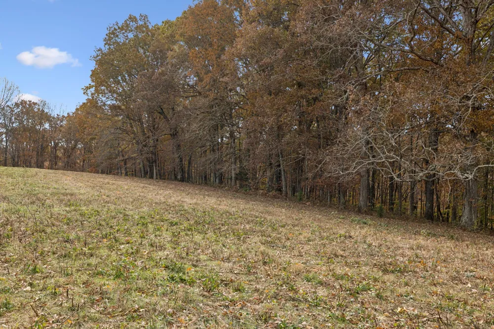 5515 Old Hwy 96 Franklin, TN 37064