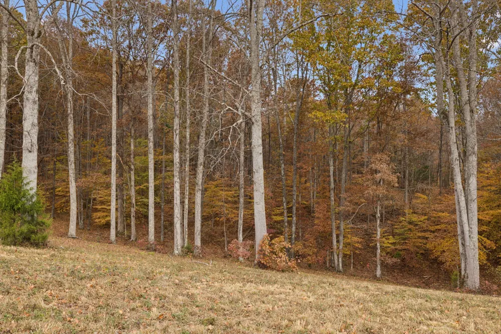 5515 Old Hwy 96 Franklin, TN 37064