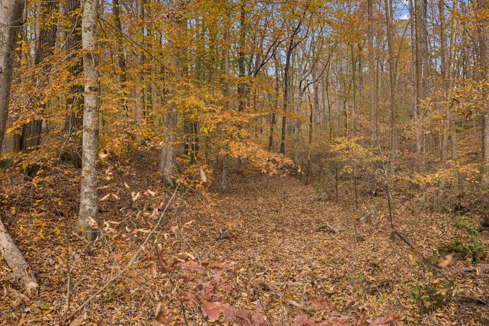 5515 Old Hwy 96 Franklin, TN 37064