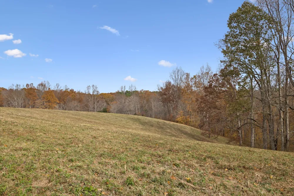 5515 Old Hwy 96 Franklin, TN 37064