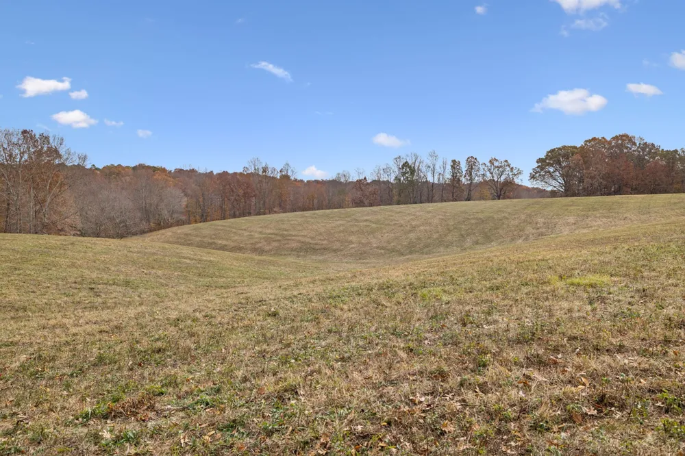 5515 Old Hwy 96 Franklin, TN 37064