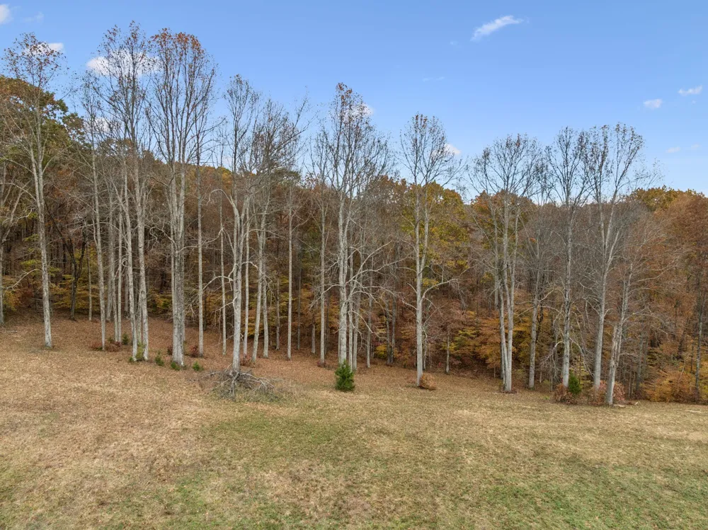 5515 Old Hwy 96 Franklin, TN 37064