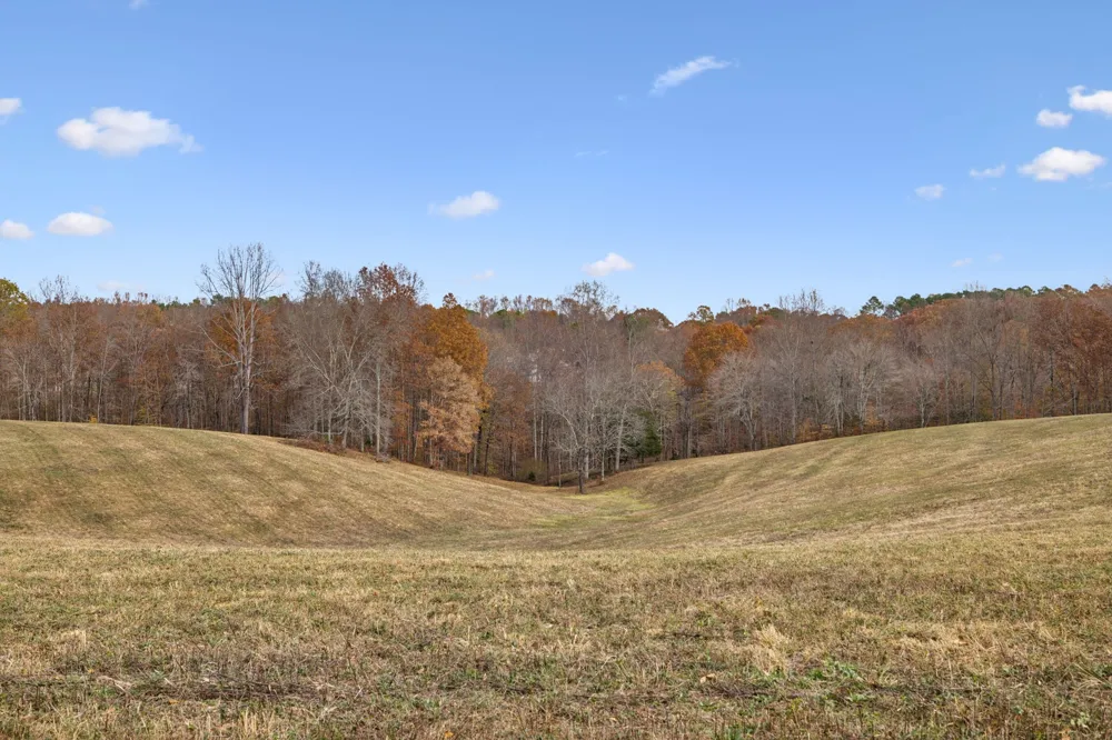 5515 Old Hwy 96 Franklin, TN 37064