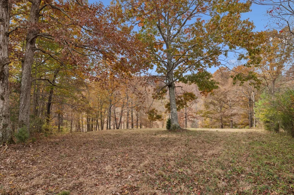 5515 Old Hwy 96 Franklin, TN 37064