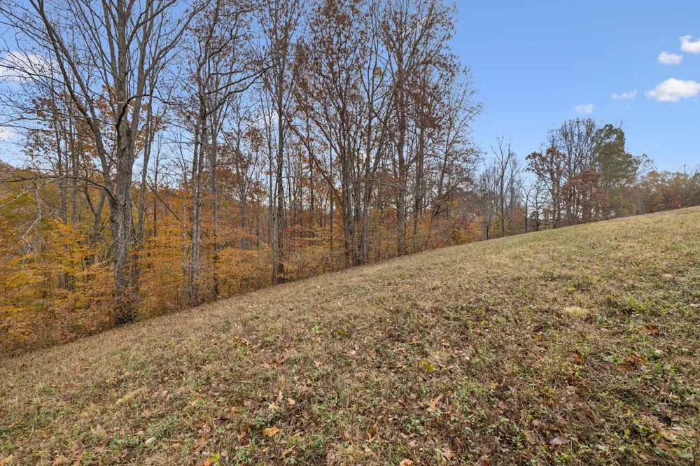 5515 Old Hwy 96 Franklin, TN 37064