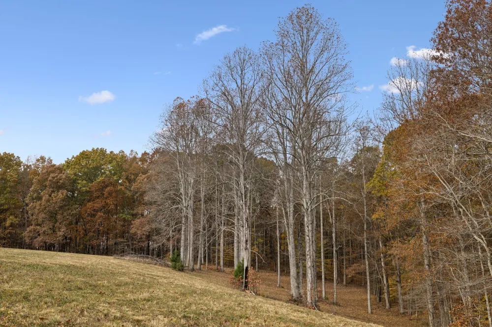 5515 Old Hwy 96 Franklin, TN 37064