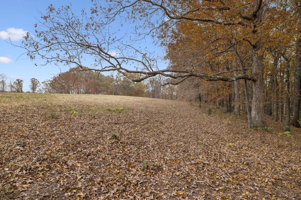 5515 Old Hwy 96 Franklin, TN 37064