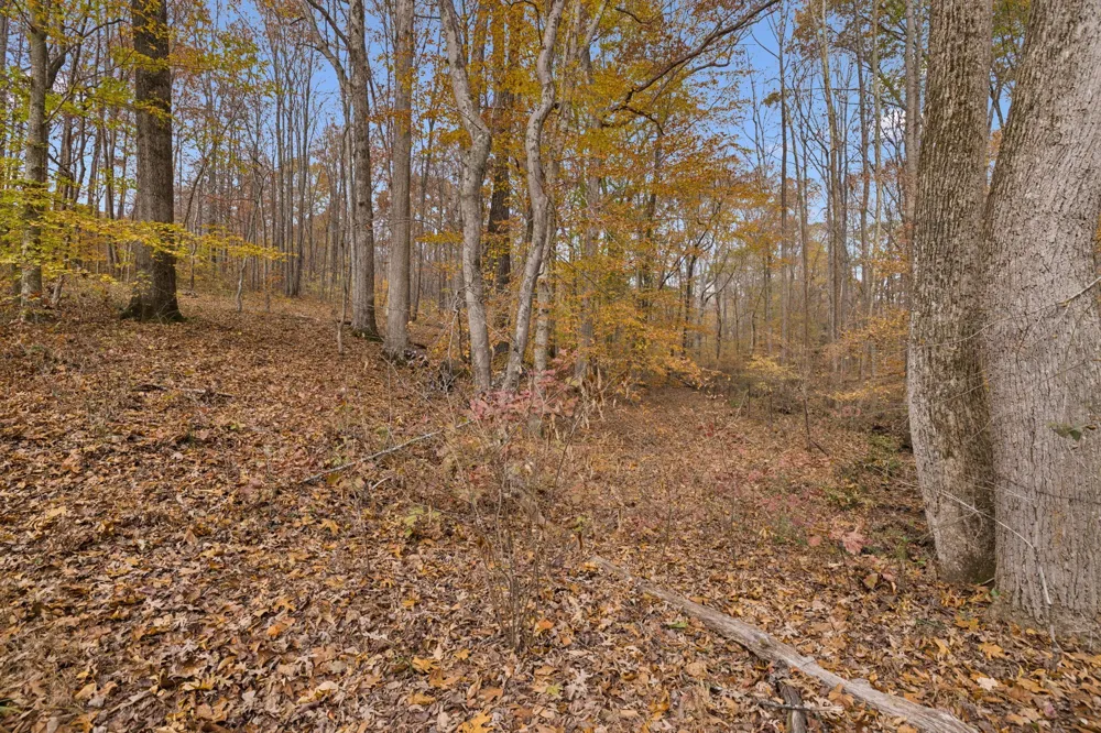 5515 Old Hwy 96 Franklin, TN 37064
